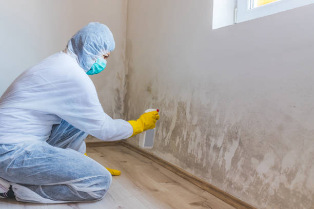 Commercial Mold Remediation assessment for commercial property in Manns Choice