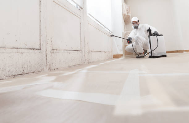 Post-remediation clearance in Manns Choice